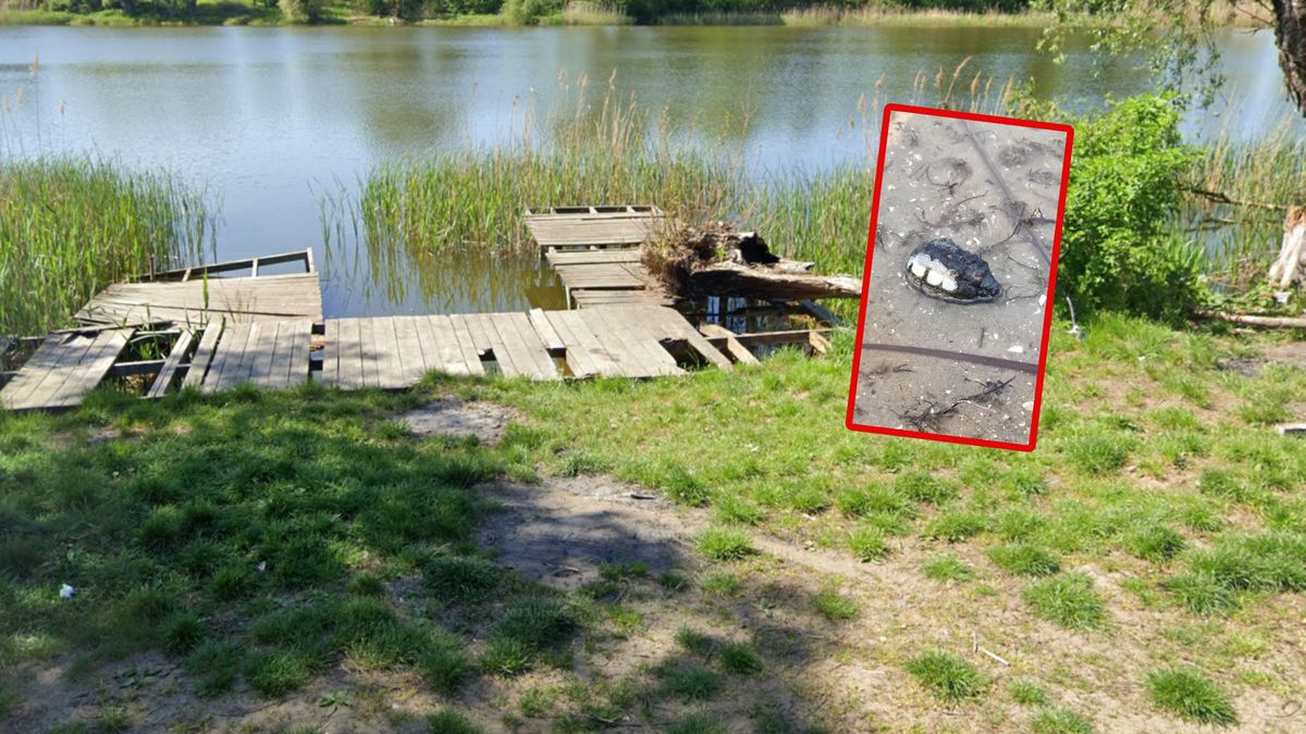 Znalazł granat nad jeziorem (w tle zdj. archiwalne).
