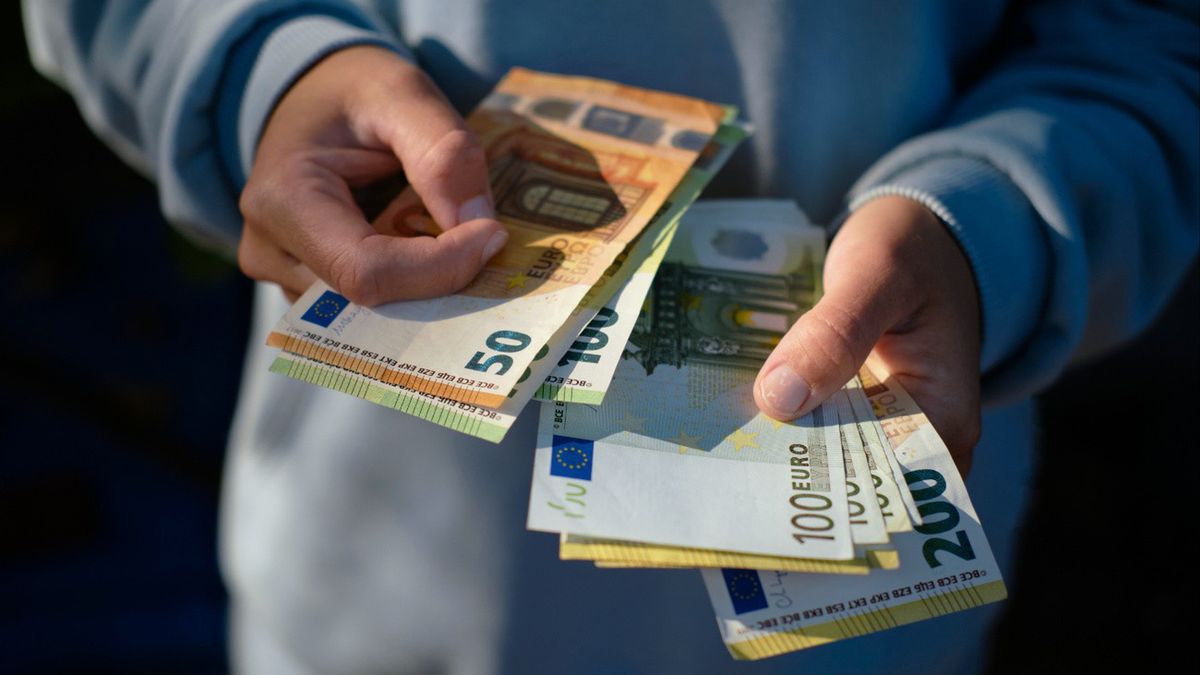 W Holandii szukają polskich pracowników. Oto warunki