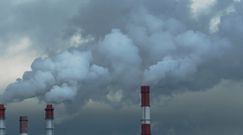 Globalne zanieczyszczenie dwutlenkiem węgla wzrasta. Poziom CO2 zbliżony do 2019 roku