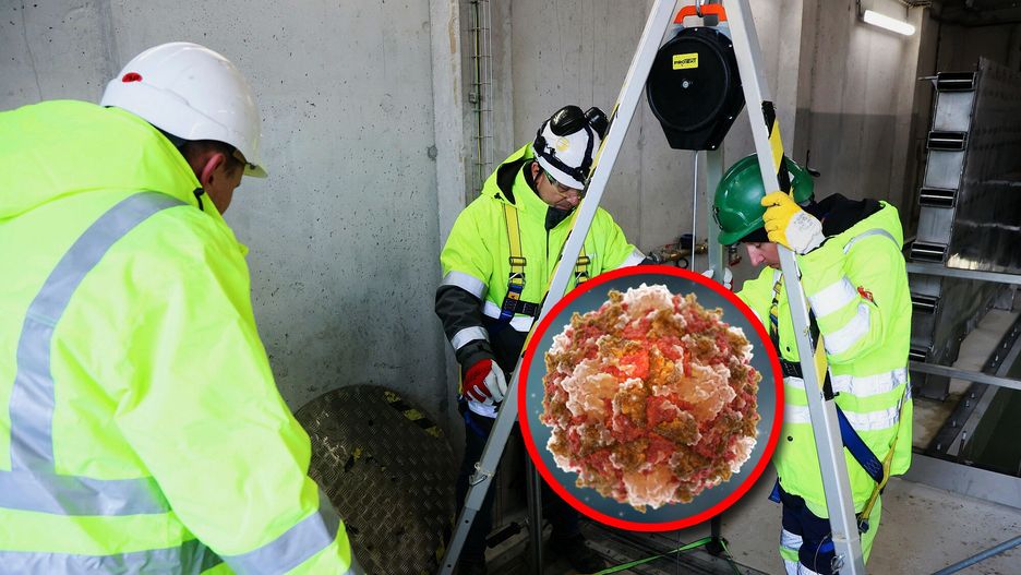 Zmutowanego wirusa polio wykryto w warszawskich ściekach