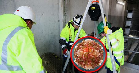 Zmutowany wirus polio w ściekach Warszawy. Ekspert zabiera głos