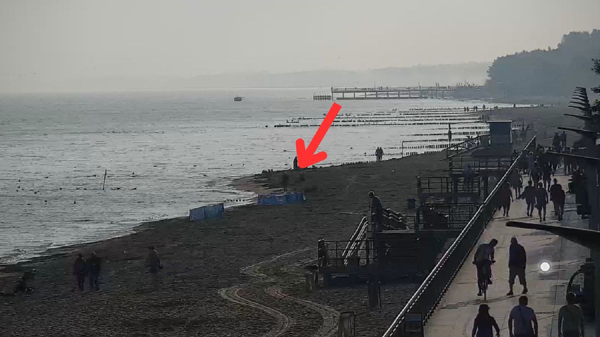 Widok z plaży w Sarbinowie.