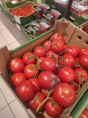 Zgniłe pomidory w Biedronce.