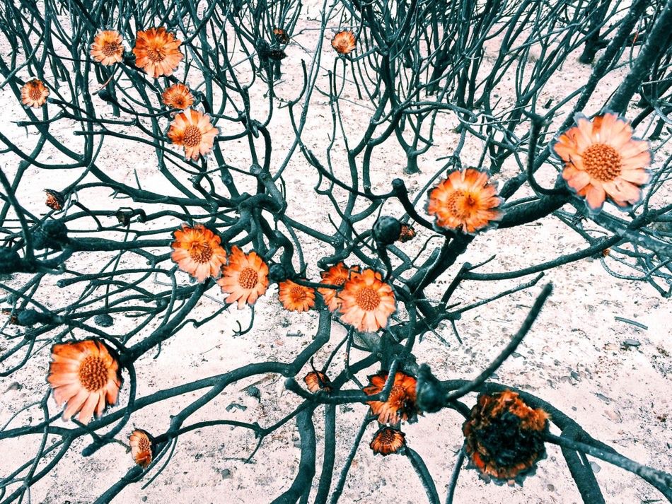 Inspirujące konkursy fotografii mobilnej, które warto znać 19