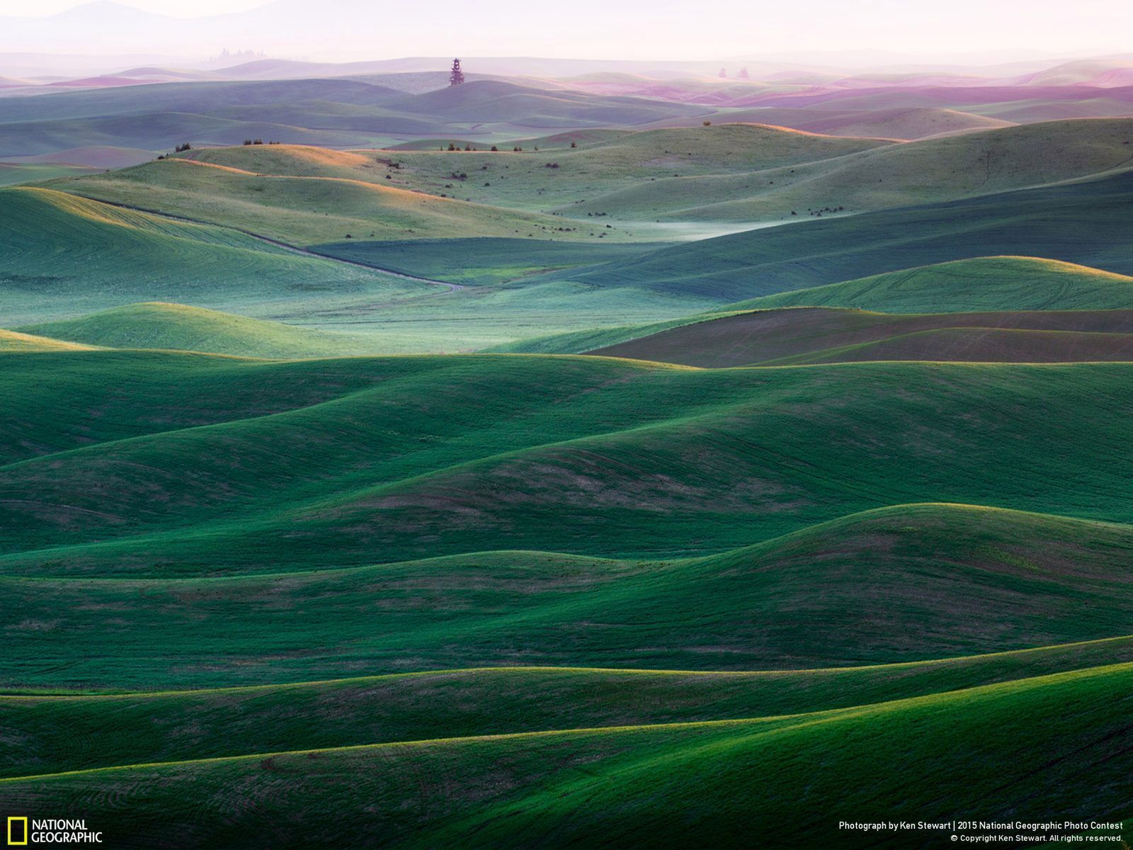 Zachwycają przyroda, czyli najlepsze zgłoszenia National Geographic Photo Contest 2015 19