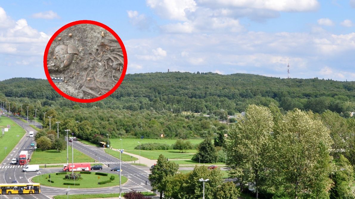 Chełm, dawne ogrody biskupów unickich, pochówek atypowy