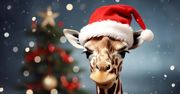 Kartka świąteczna z płockiego ZOO 2024