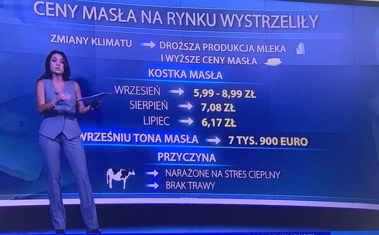 Screen z programu telewizyjnego w TVN24 o cenach masłach