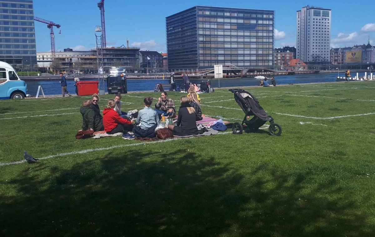 Dania. Policja rysuje na trawie "towarzyskie kwadraty"