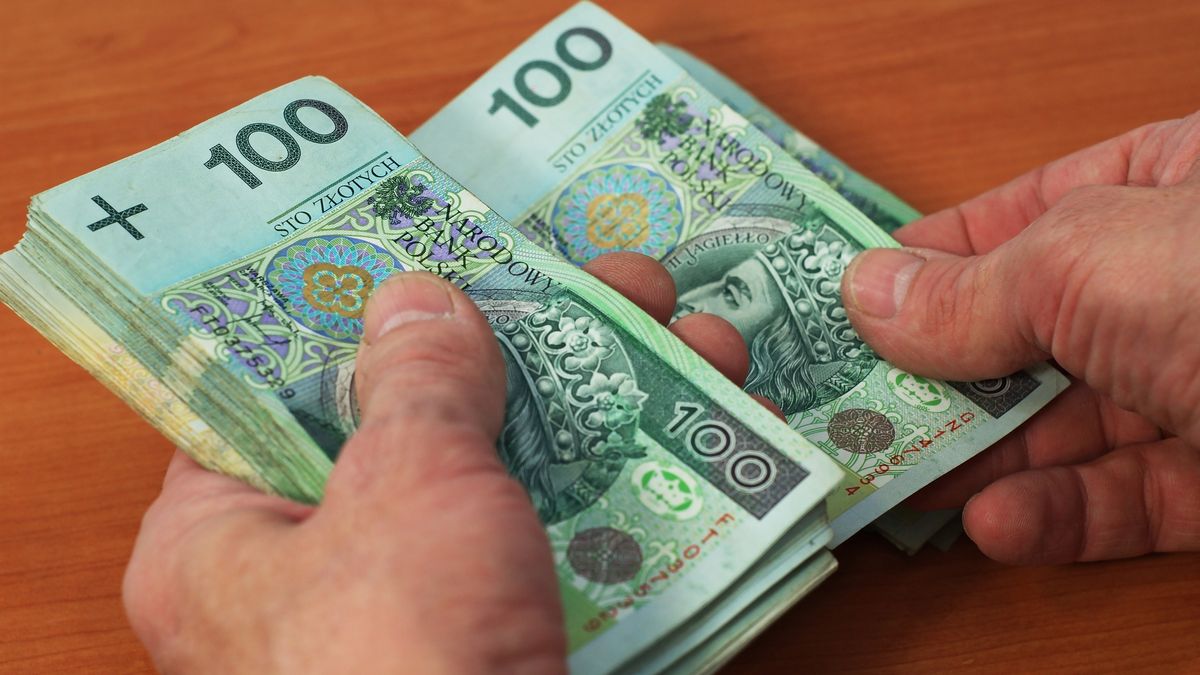 pieniądze, gotówka, złoty, waluty, banknoty, sto złotych