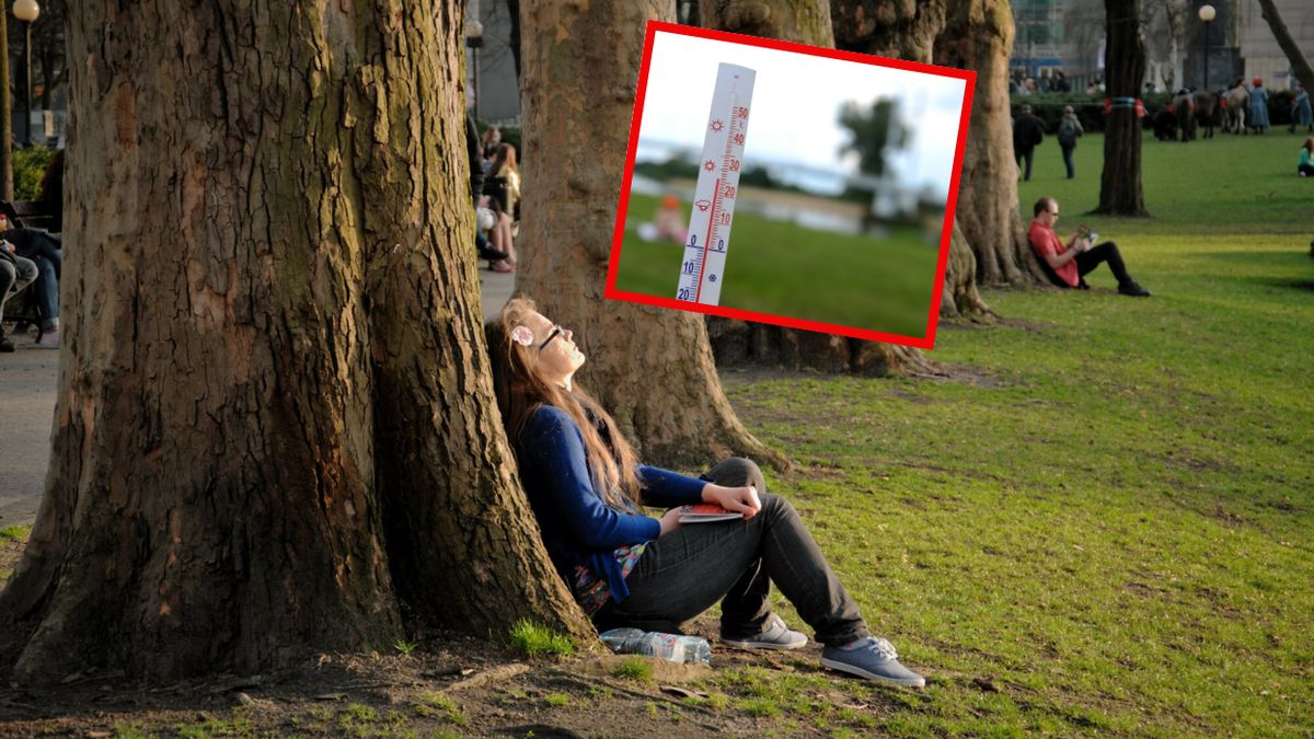 Pogoda. Wiosna będzie wyjątkowo ciepła?