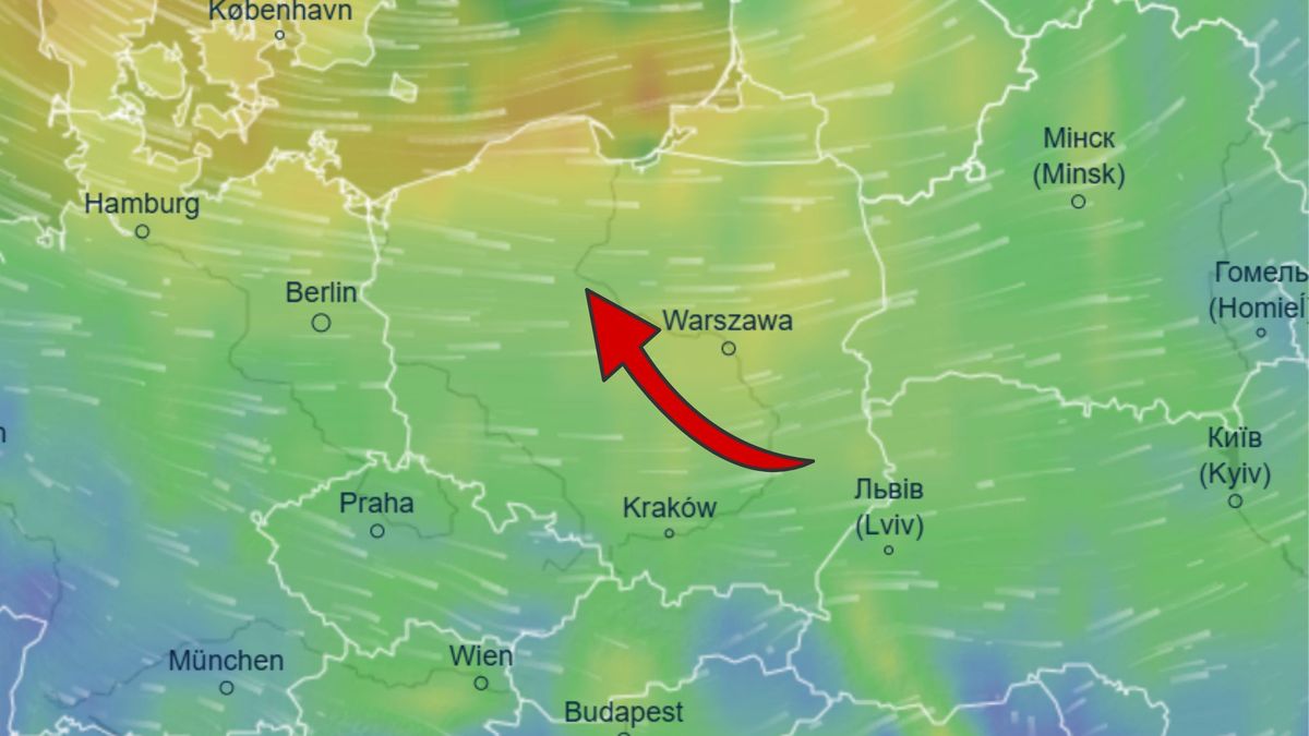 Groźna wichura nad Polską. Prognozy nie pozostawiają złudzeń