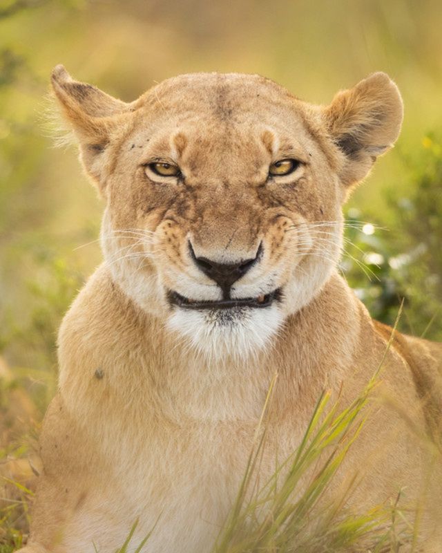 "What do you mean smile?! I am smiling!"