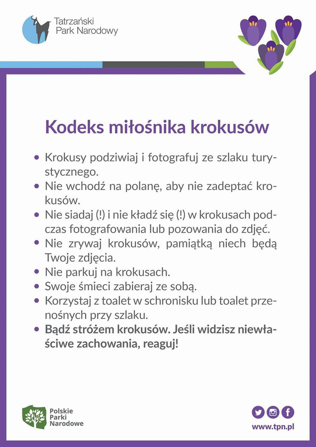 Kodeks miłośnika krokusów