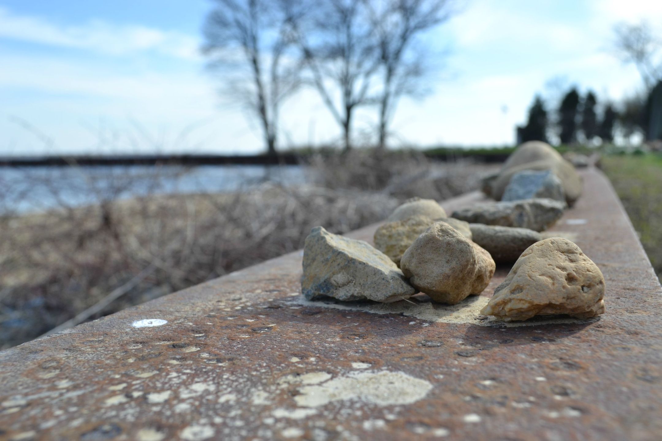 OnePlus One czy lustrzanka? Zobacz zdjęcia porównawcze 21