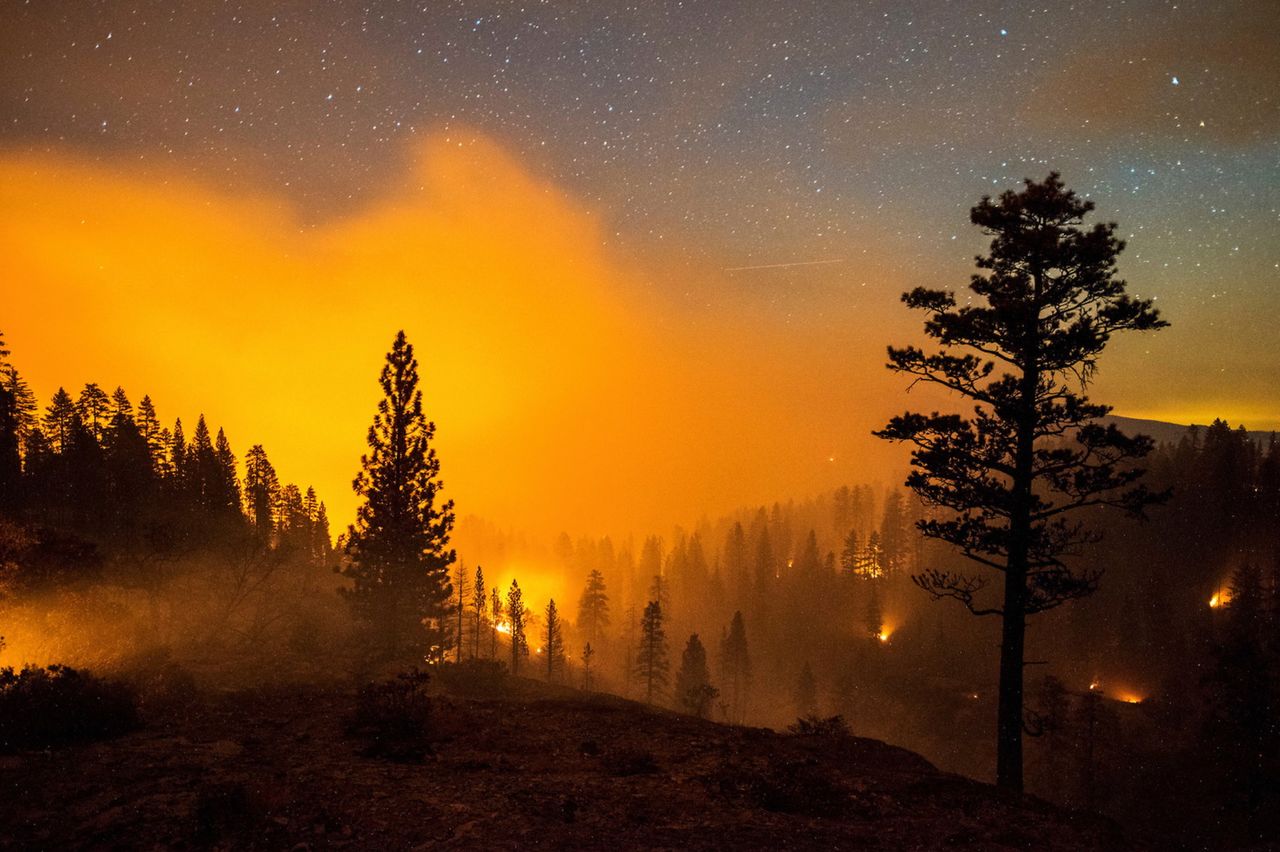 „Fotografowanie pożarów w lasach to coś więcej, niż zwykły projekt fotograficzny - tu chodzi o edukowanie ludzi o rosnącym niebezpieczeństwie pożarów oraz dzielenie się z innymi informacjami na temat wielkiego wysiłku i poświęcenia strażaków, którzy narażają swoje życia walcząc z żywiołem" - pisze Stuart Palley. „Chodzi też o to, aby pokazać, że te pożary mogą być w pewien sposób piękne, patrząc z pryzmatu natury. Pomijając ich niszczycielską siłę, jest w nich pewne surrealistyczne piękno, szczególnie kiedy fotografujemy je nocą przy długich czasach naświetlania" - opisuje swój projekt fotograficzny Palley.