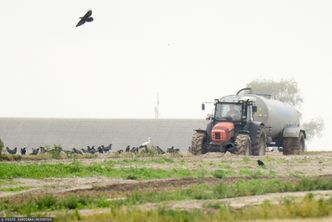 Europa uzależnia się od Rosji. "To nowy gaz"