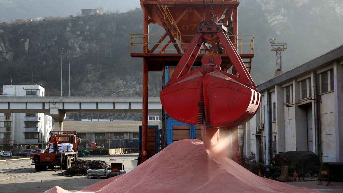 LIANYUNGANG, CHINA - MARCH 16: A crane unloads potassium chloride imported from Canada from a cargo ship at Lianyungang port on March 16, 2021 in Lianyungang, Jiangsu Province of China. (Photo by Wang Chun/VCG via Getty Images)