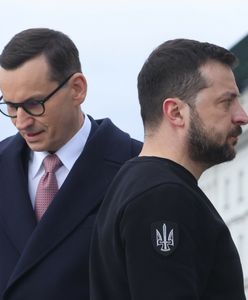 "Polska nadzieją Putina". Niemcy komentują słowa Morawieckiego