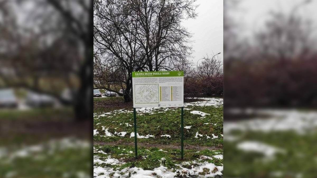 tablica informacyjna, drzewo