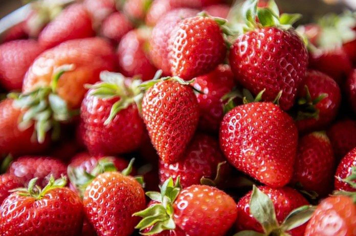 Truskawki pod lupą. Co sprawdzają inspektorzy IJHARS?