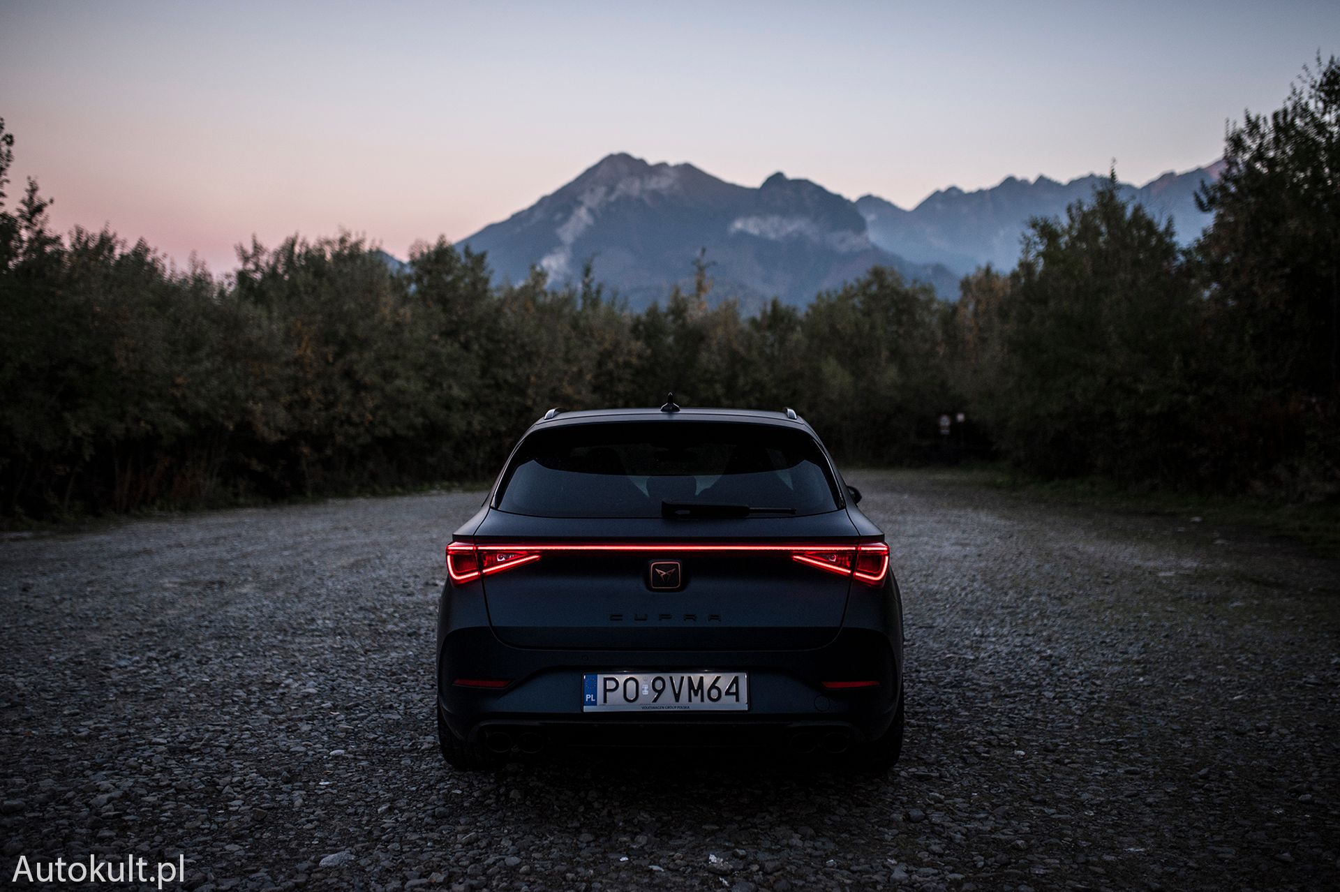 Cupra Leon ST 310 4Drive (2022)
