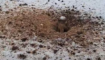 Leśnicy wrzucili filmik. Niebywałe, kto za tym stoi