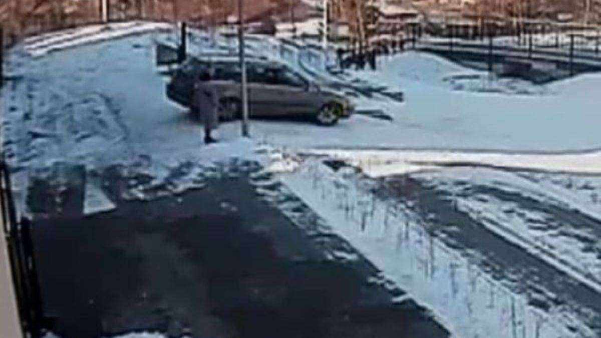 Do parku Kocie Planty wjechał pojazd na szczecińskich numerach, taranując wszystko, co napotkał na swojej drodze 