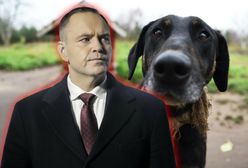 Polityczny błąd prezydenta Karola Nawrockiego [OPINIA]