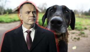 Polityczny błąd prezydenta Karola Nawrockiego [OPINIA]