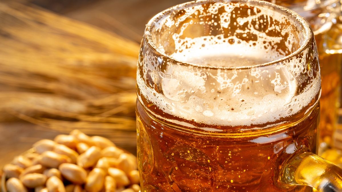 GIS alarmuje: wycofanie jednej partii piwa Żywiec Jasne Pełne