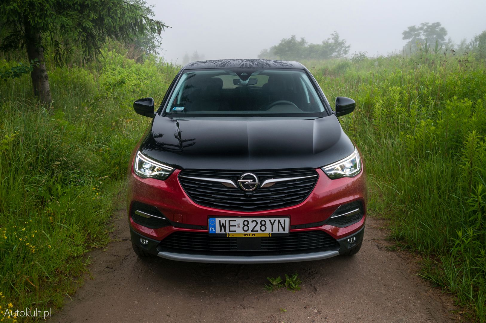 Opel Grandland X Hybrid4
