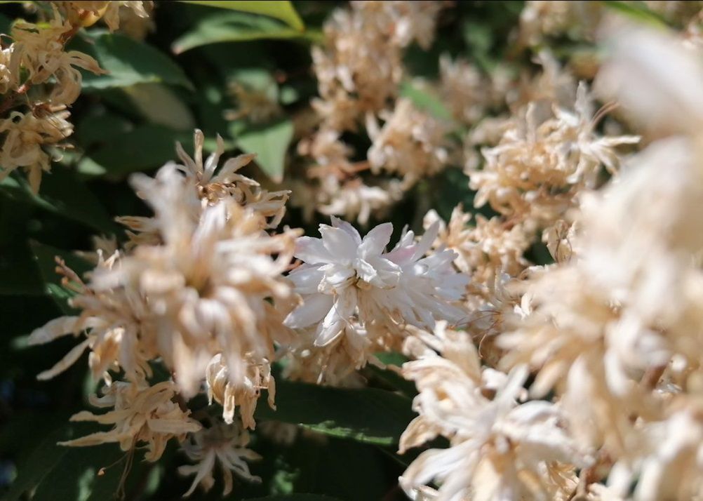 Huawei P30 lite okiem fotografa. W tej cenie jest świetnie 8