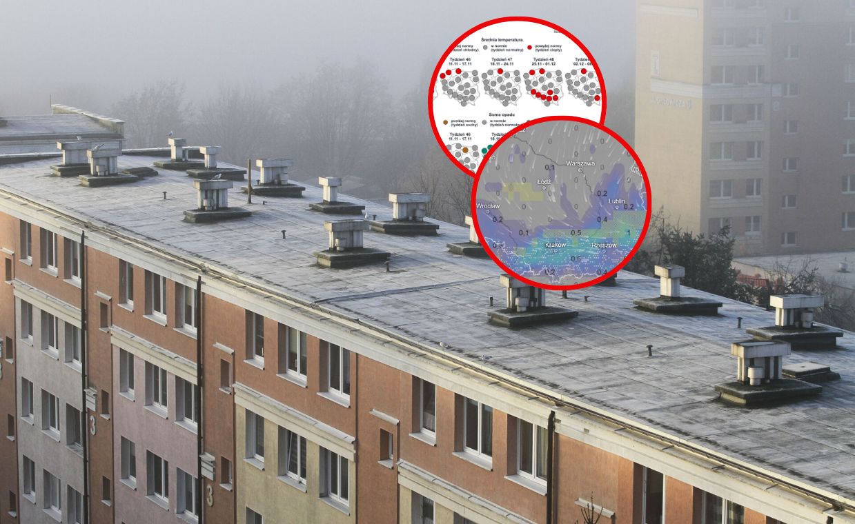 Cieplej nie będzie. Wiadomo, kiedy spadnie śnieg