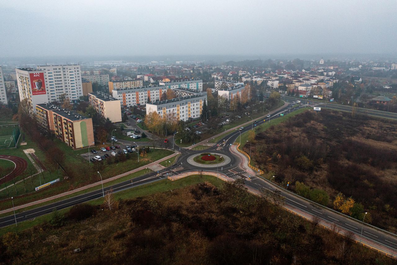 "Tłuste koty plus". Lukratywne kontrakty dla ludzi PiS