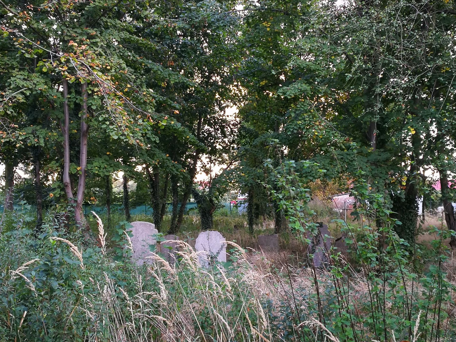 Grób cmentarz groby