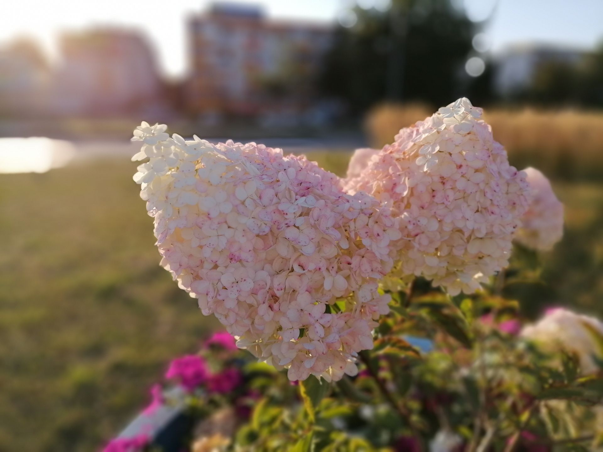 Huawei P40 lite E: test taniego chińczyka bez aplikacji Google 20