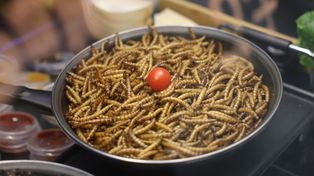 Lublin: Festiwal Smaków. Azjatyckie aromaty i światowe słodkości