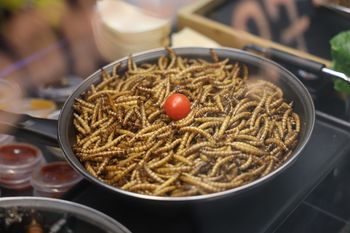 Lublin: Festiwal Smaków. Azjatyckie aromaty i światowe słodkości