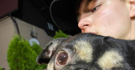 Interwencja policji. Zwierzęta w skandalicznych warunkach