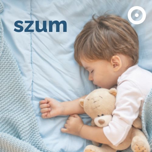 Logo stacji Szum