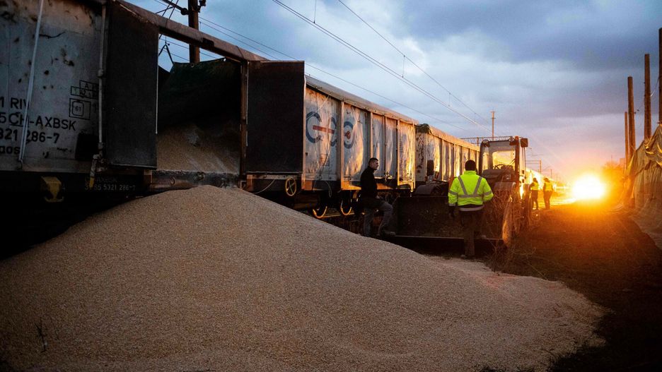Tony ukraińskiego zboża wysypane w Kotomerzu pod Bydgoszczą. Policja nadal szuka sprawców