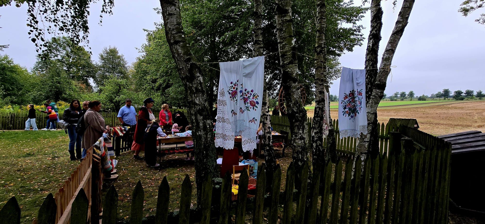 Wykopki 