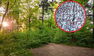 Nietypowy "pomnik poległych" w Tarnowie. Ktoś pozbył się ich w lesie