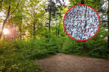 Nietypowy "pomnik poległych" w Tarnowie. Ktoś pozbył się ich w lesie