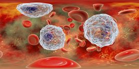 Granulocyty - rodzaje, normy, wynik morfologii krwi