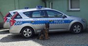 26-letni mężczyzna zatrzymany za posiadanie narkotyków