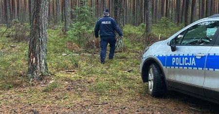 Tragiczny finał poszukiwań. W lesie znaleziono ciało mężczyzny i jego 3-letniej córki