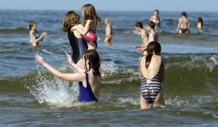 Plażowiczom puszczają nerwy. Nie chcą takiego widoku