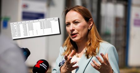 Gotowe pliki dla deweloperów. Ministra zapowiada rewolucję